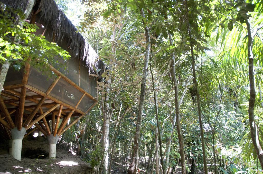 Universo Pol Bamboo Hostel 모로데상파울루 객실 사진
