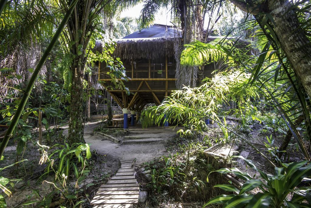 Universo Pol Bamboo Hostel 모로데상파울루 외부 사진