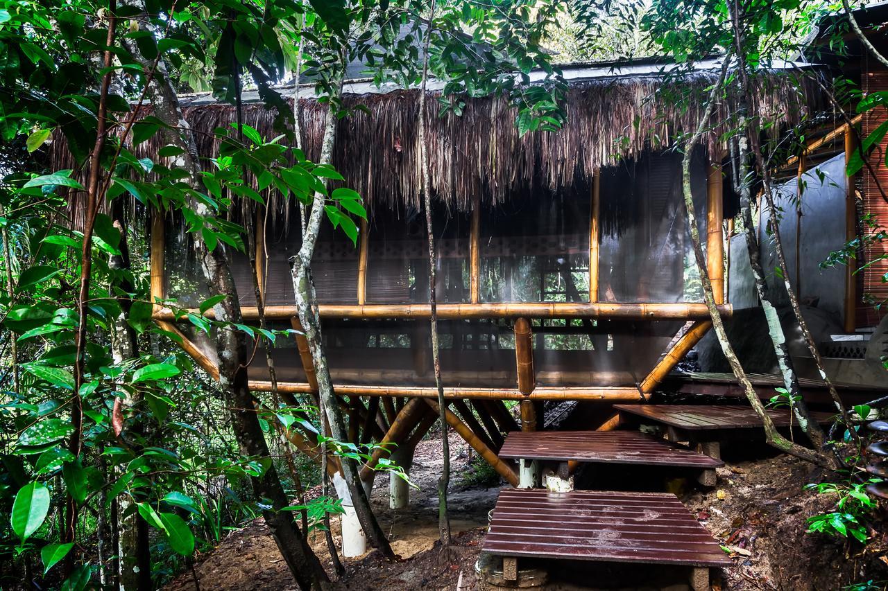 Universo Pol Bamboo Hostel 모로데상파울루 외부 사진