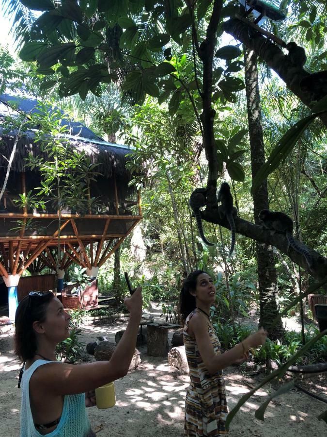 Universo Pol Bamboo Hostel 모로데상파울루 외부 사진